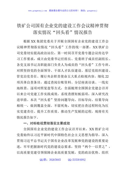 铁矿公司国有企业党的建设工作会议精神贯彻落实情况“回头看”情况报告