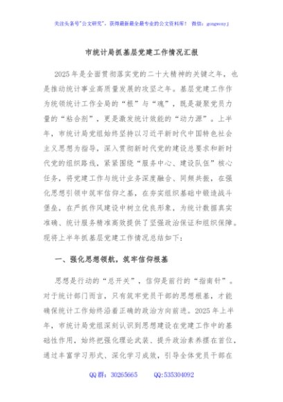 市统计局抓基层党建工作情况汇报