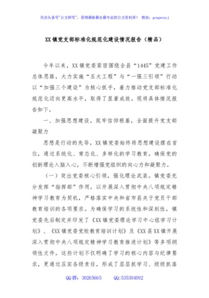 XX镇党支部标准化规范化建设情况报告（精品）