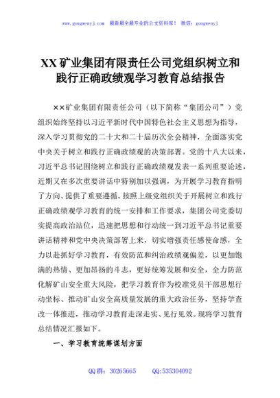 XX矿业集团有限责任公司党组织树立和践行正确政绩观学习教育总结报告