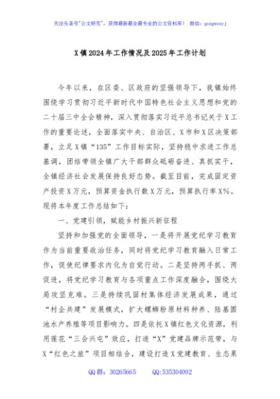 X镇2024年工作情况及2025年工作计划