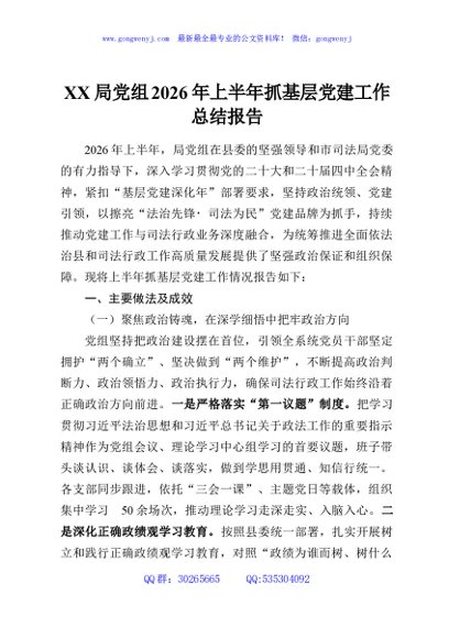 XX局党组2026年上半年抓基层党建工作总结报告