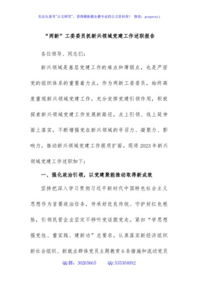 “两新”工委委员抓新兴领域党建工作述职报告