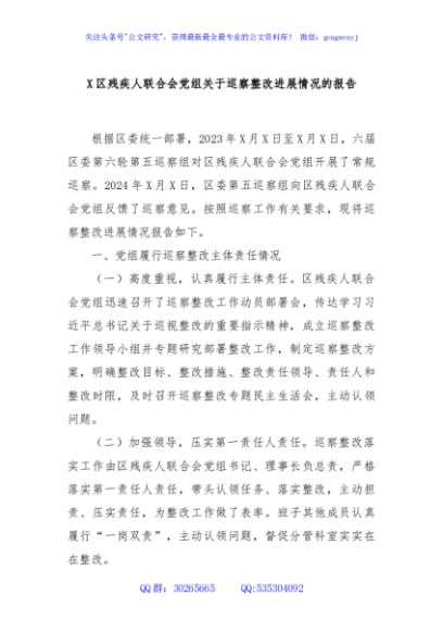 X区残疾人联合会党组关于巡察整改进展情况的报告
