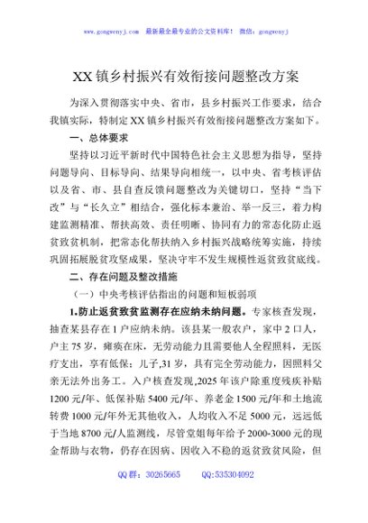 XX镇乡村振兴有效衔接问题整改方案