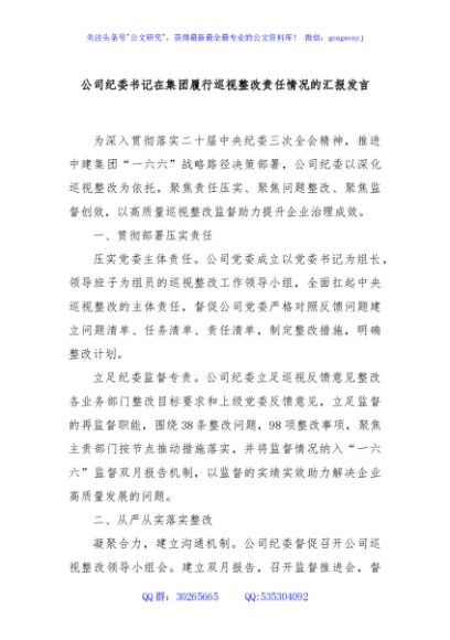 公司纪委书记在集团履行巡视整改责任情况的汇报发言