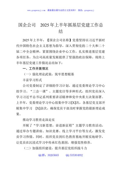 国企公司2025年上半年抓基层党建工作总结