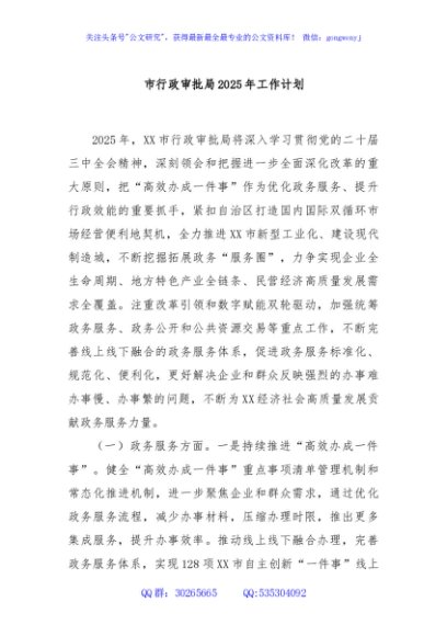 市行政审批局2025年工作计划