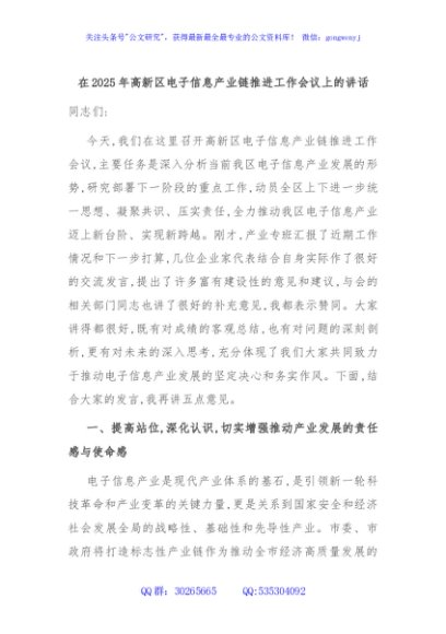 在2025年高新区电子信息产业链推进工作会议上的讲话