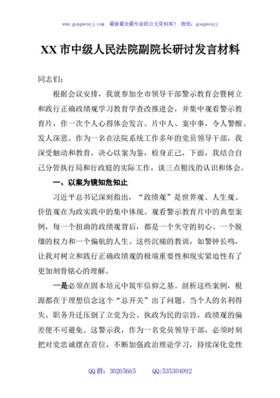 XX市中级人民法院副院长研讨发言材料