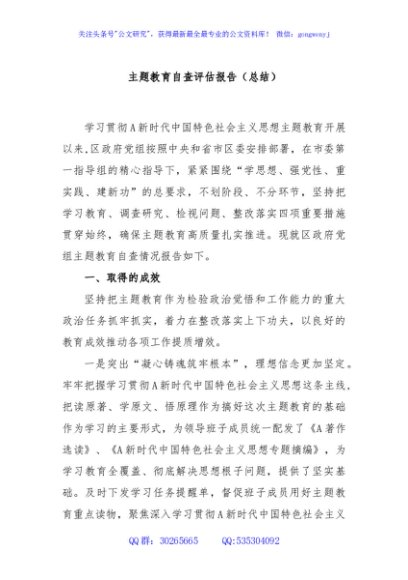 主题教育自查评估报告（总结）