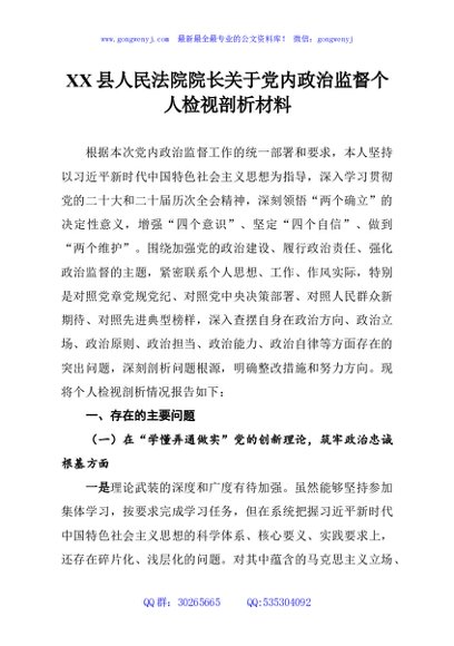 XX县人民法院院长关于党内政治监督个人检视剖析材料