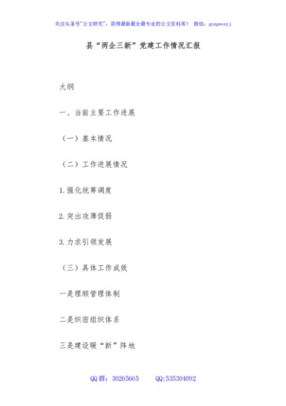 县“两企三新”党建工作情况汇报