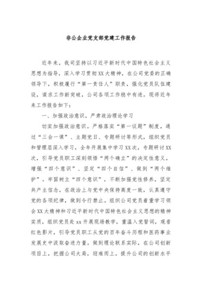 非公企业党支部党建工作报告