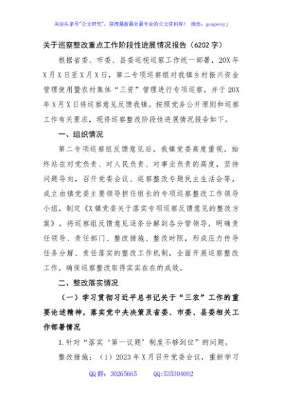 关于巡察整改重点工作阶段性进展情况报告（6202字）