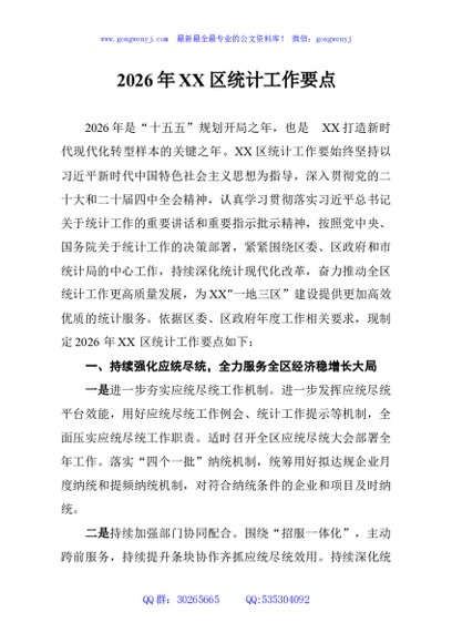 2026年XX区统计工作要点