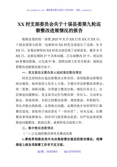 XX村支部委员会关于十届县委第九轮巡察整改进展情况的报告