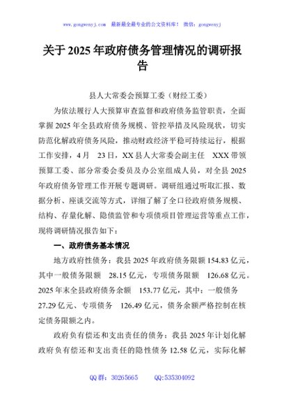 关于2025年政府债务管理情况的调研报告