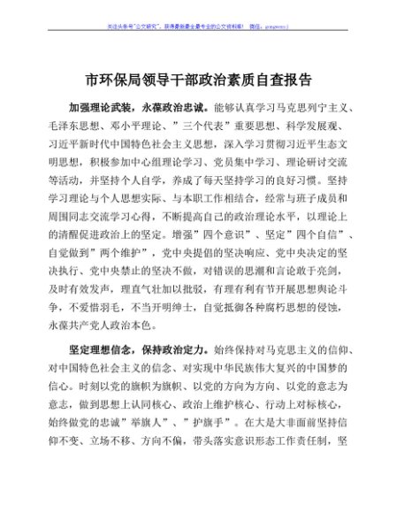 市环保局领导干部政治素质自查报告