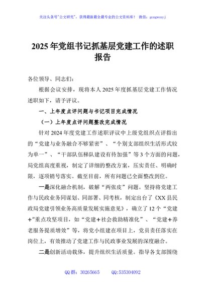 2025年党组书记抓基层党建工作的述职报告