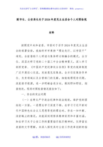 副市长、公安局长关于2024年度民主生活会个人对照检视材料