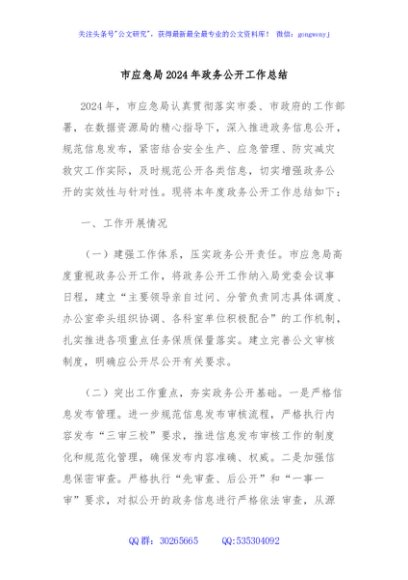 市应急局2024年政务公开工作总结