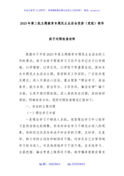 2023年第二批主题教育专题民主生活会党委（党组）领导班子对照检查材料