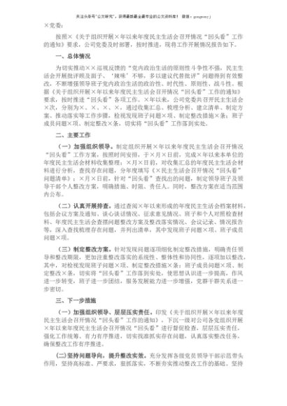 公司党委民主生活会召开情况“回头看”工作情况报告
