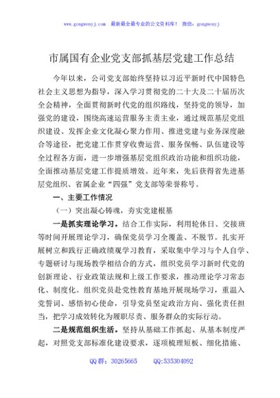 市属国有企业党支部抓基层党建工作总结