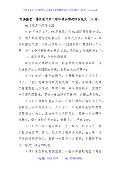 巡察整改工作主要负责人组织落实情况报告范文（xx局）