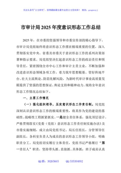市审计局2025年度意识形态工作总结