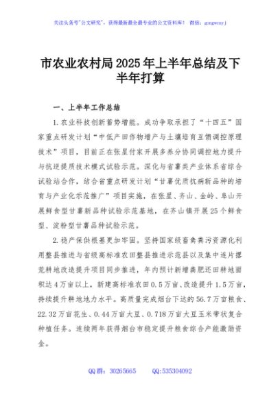 市农业农村局2025年上半年总结及下半年打算