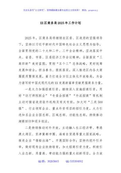 XX区商务局2025年工作计划