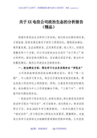 关于XX电信公司政治生态的分析报告（精品）