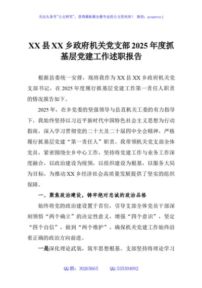 XX县XX乡政府机关党支部2025年度抓基层党建工作述职报告