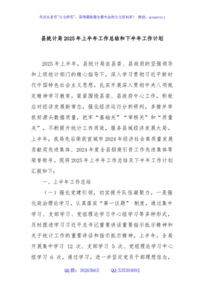 县统计局2025年上半年工作总结和下半年工作计划