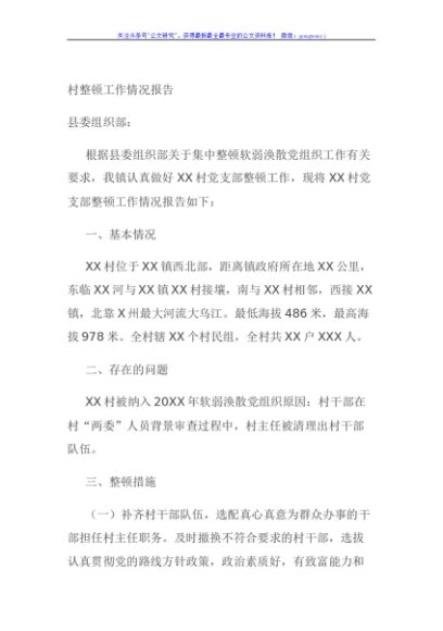 村整顿工作情况报告