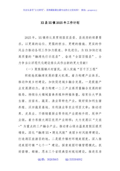 XX县XX镇2025年工作计划
