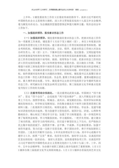 X镇落实意识形态和宣传思想文化工作半年总结