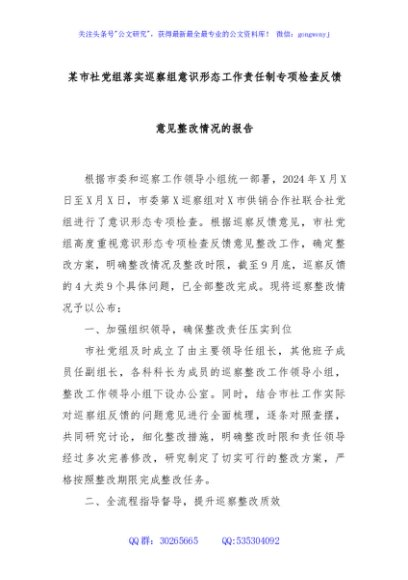 某市社党组落实巡察组意识形态工作责任制专项检查反馈意见整改情况的报告