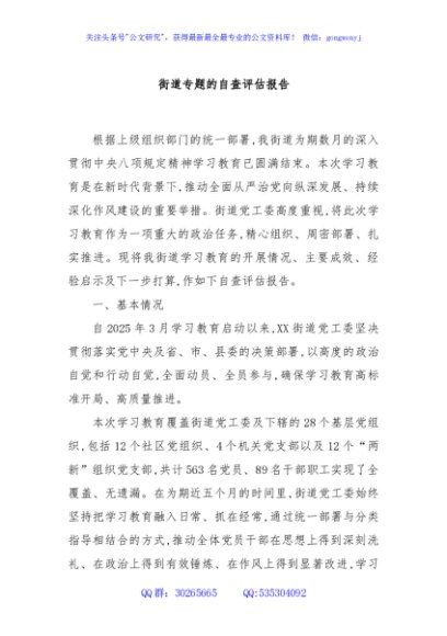 街道专题的自查评估报告