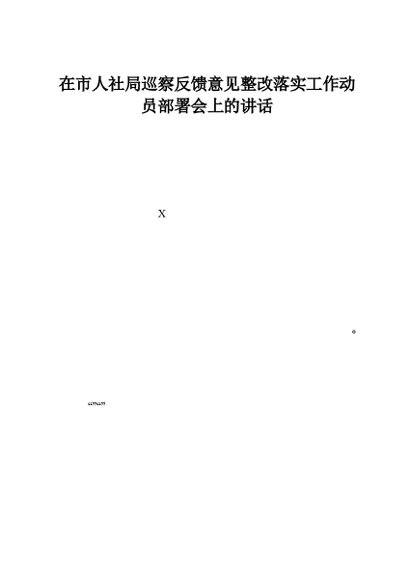 在市人社局巡察反馈意见整改落实工作动员部署会上的讲话