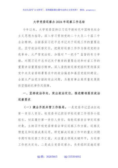 大学党委巡察办2024年巡察工作总结