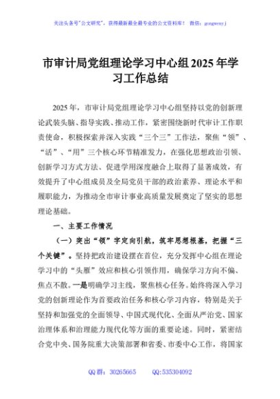 市审计局党组理论学习中心组2025年学习工作总结