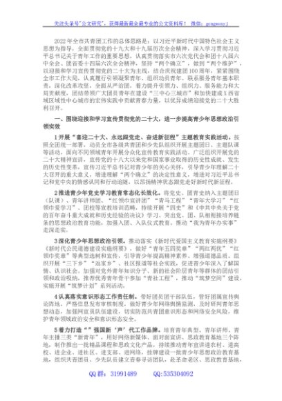 共青团X市委2022年工作要点