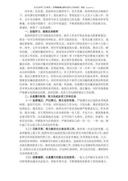 乡镇党政办副主任个人工作总结