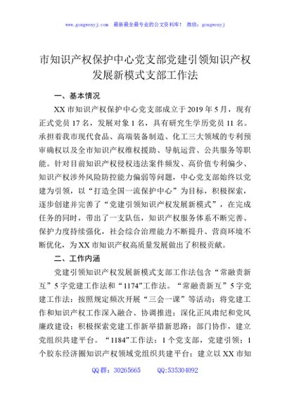 市知识产权保护中心党支部党建引领知识产权发展新模式支部工作法