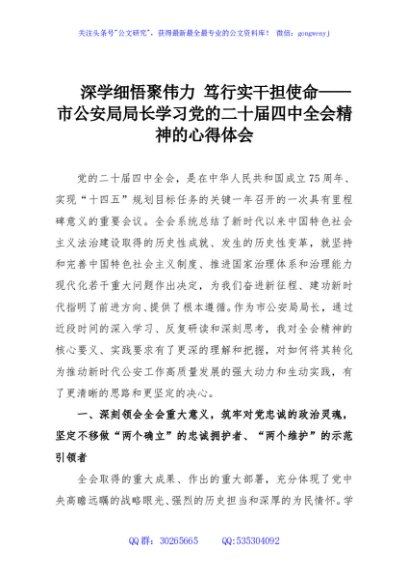 深学细悟聚伟力 笃行实干担使命——市公安局局长学习党的二十届四中全会精神的心得体会