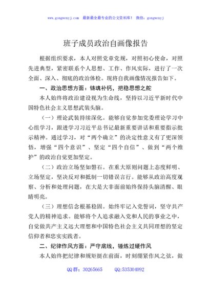 班子成员政治自画像报告