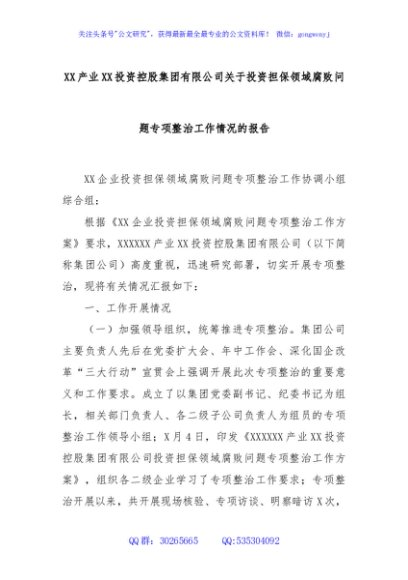 XX产业XX投资控股集团有限公司关于投资担保领域腐败问题专项整治工作情况的报告